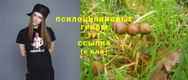 дживик Алзамай