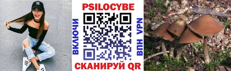 что такое   Северская  Псилоцибиновые грибы MAGIC MUSHROOMS 